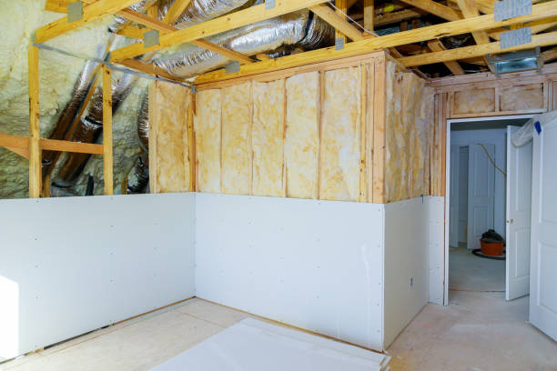 Best Basement Insulation  in Franklin, CA